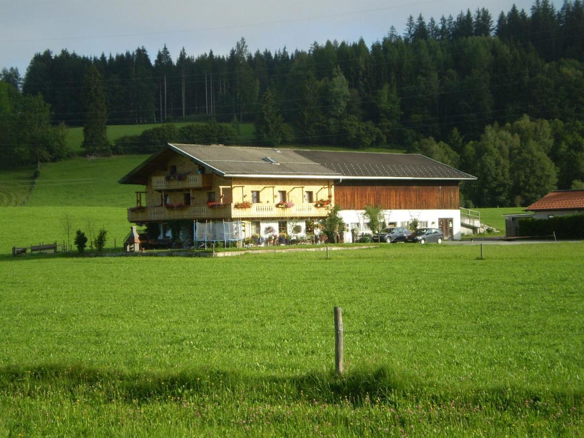 Appartment Eggerhof Saalfelden Zewnętrze zdjęcie